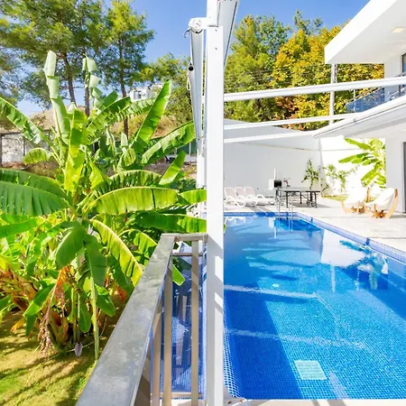 Infinity Sky * Kalkan